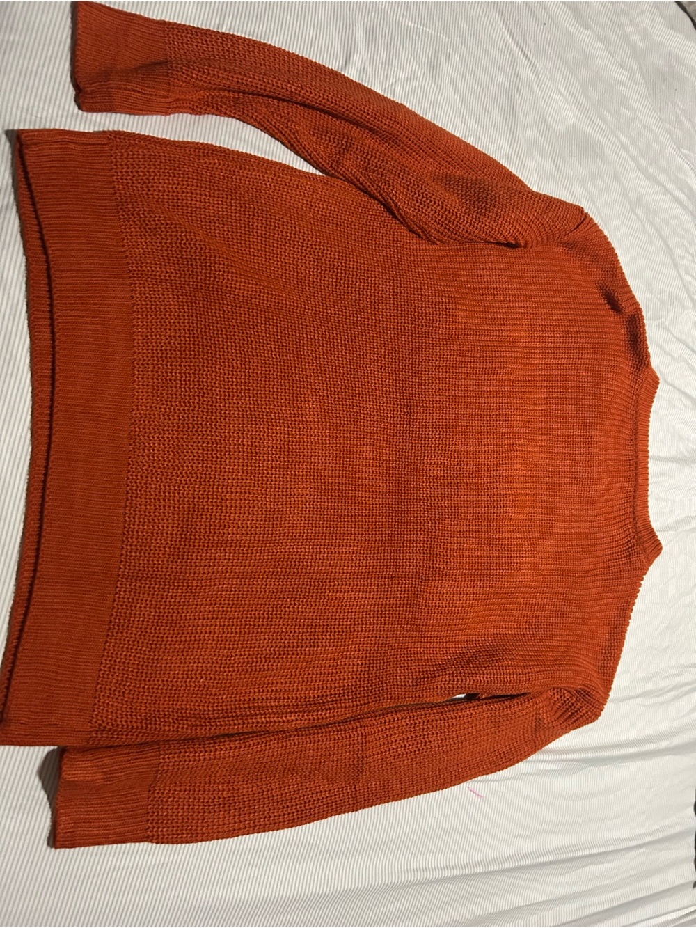 Rust Orange Knit Sweater with Script Logo - Picture 3 of 5